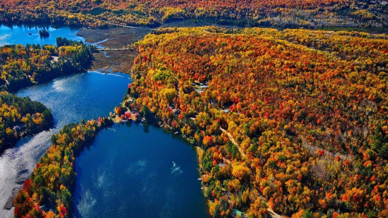 An aerial view of a Quebec forest during the fall season.