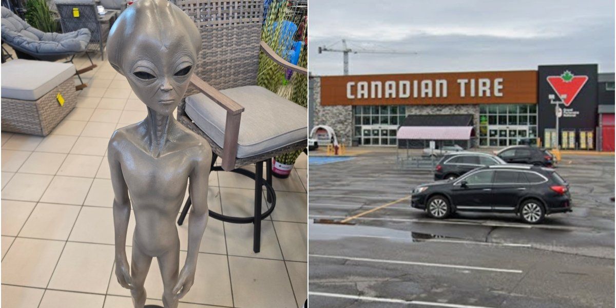 A Canadian Tire in Montreal is selling an alien statue for 0 and people are very confused A Canadian Tire in Montreal is selling an alien statue for 0 and people are very confused