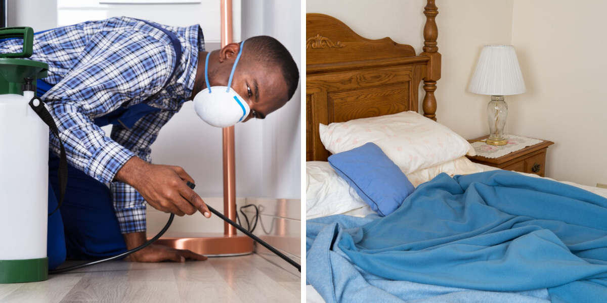 Bedbugs Are A Montrealer’s Worst Nightmare — This is How To Get Them Out Of Your House Bedbugs Are A Montrealer’s Worst Nightmare — Here’s How To Get Them Out Of Your Home