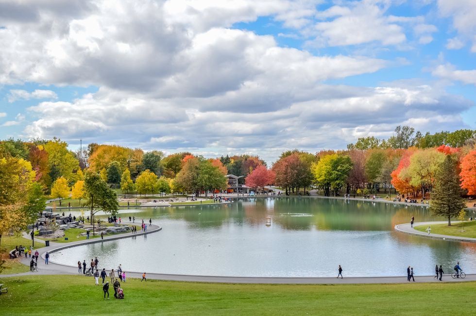 Beaver Lake on Mount Royal in Montreal with white cloudy sky and autumn foliage.