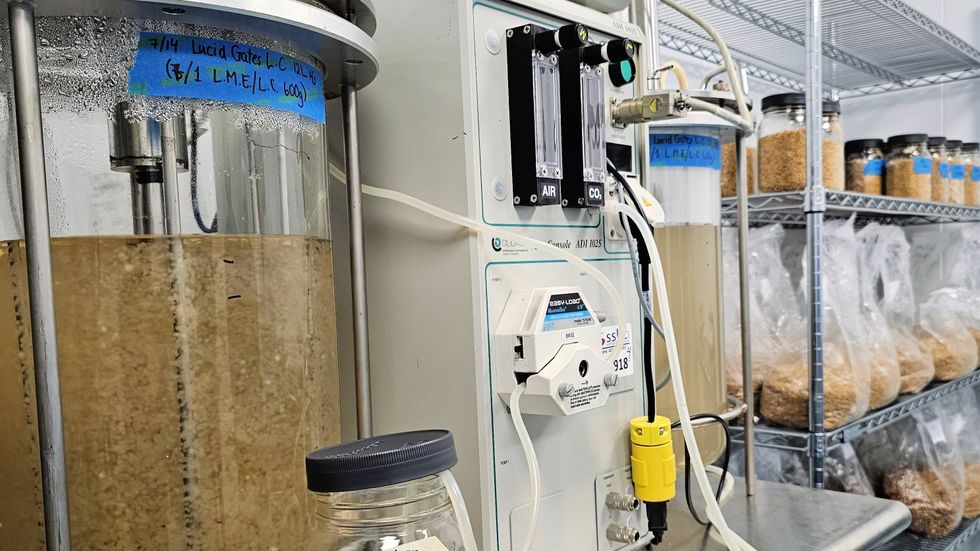 Bioreactors fillded with spores in the Cubed mycology lab next to rows of grain jars and oat bags hosting mycelium spores.