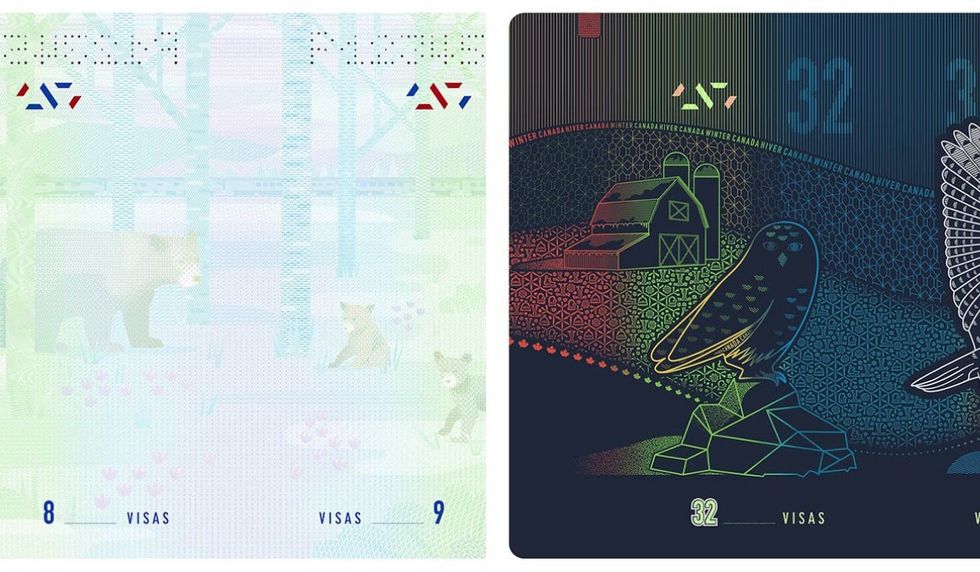 Blank visa pages in the new passport that show bears in a forest in spring. Right: Blank visa pages in the new passport that show owls and children playing in winter