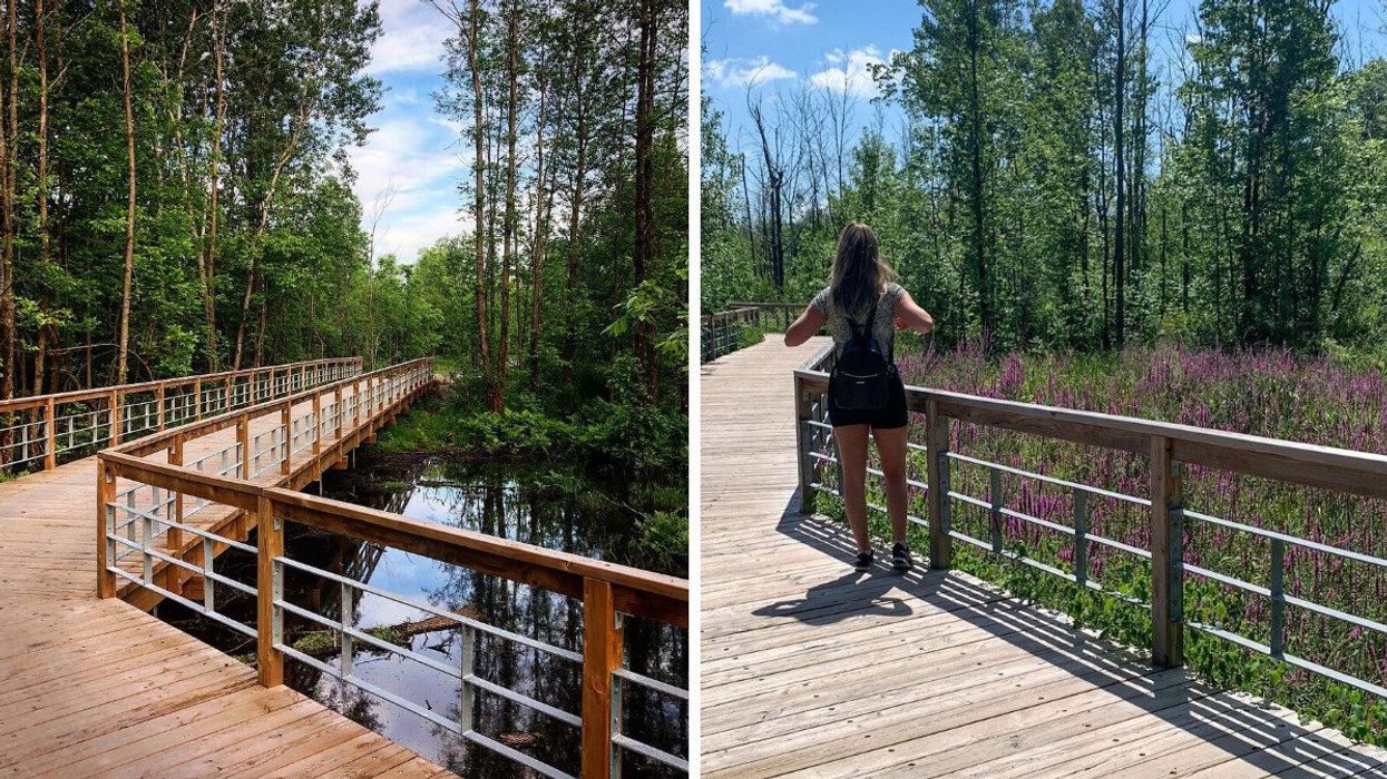 Boardwalks in Longueuil's Boisé du Tremblay.