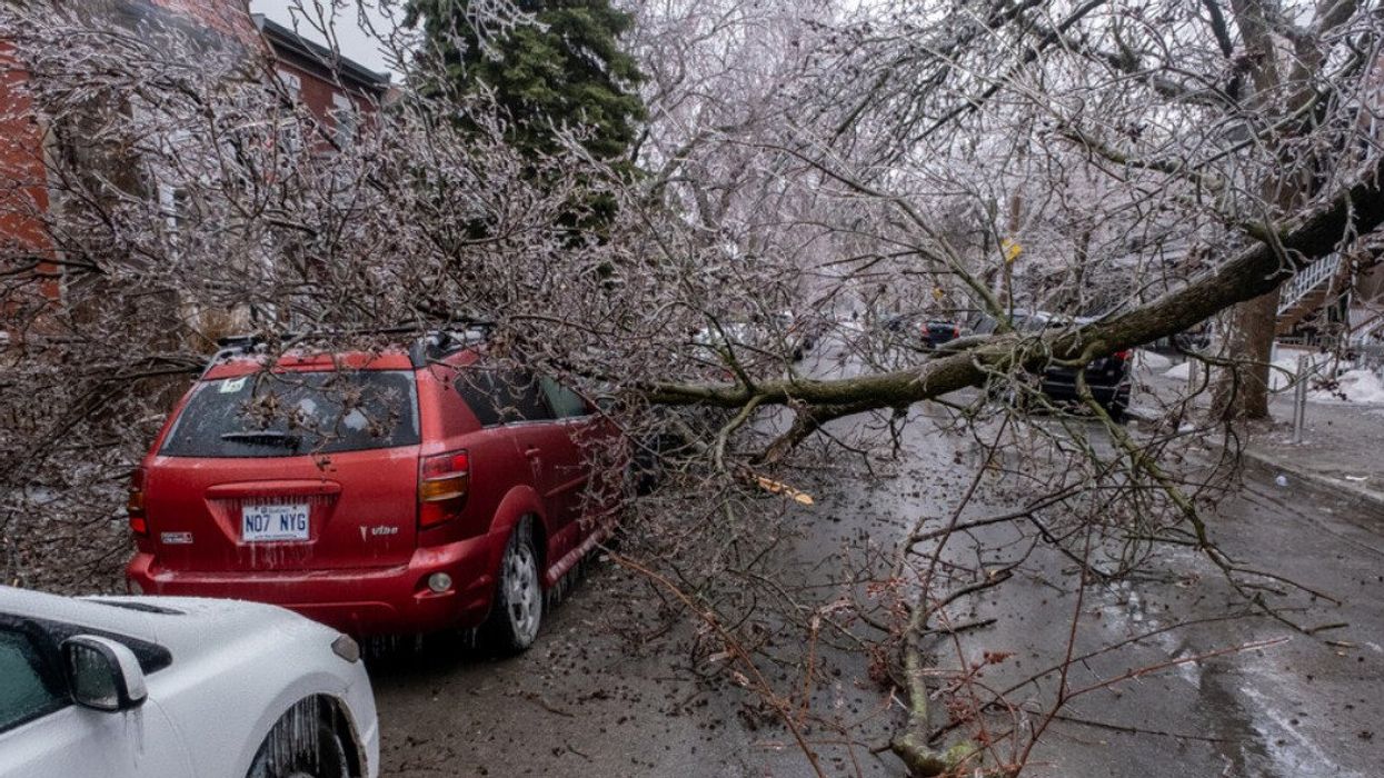 Car under broken icy tree after freezing rain.