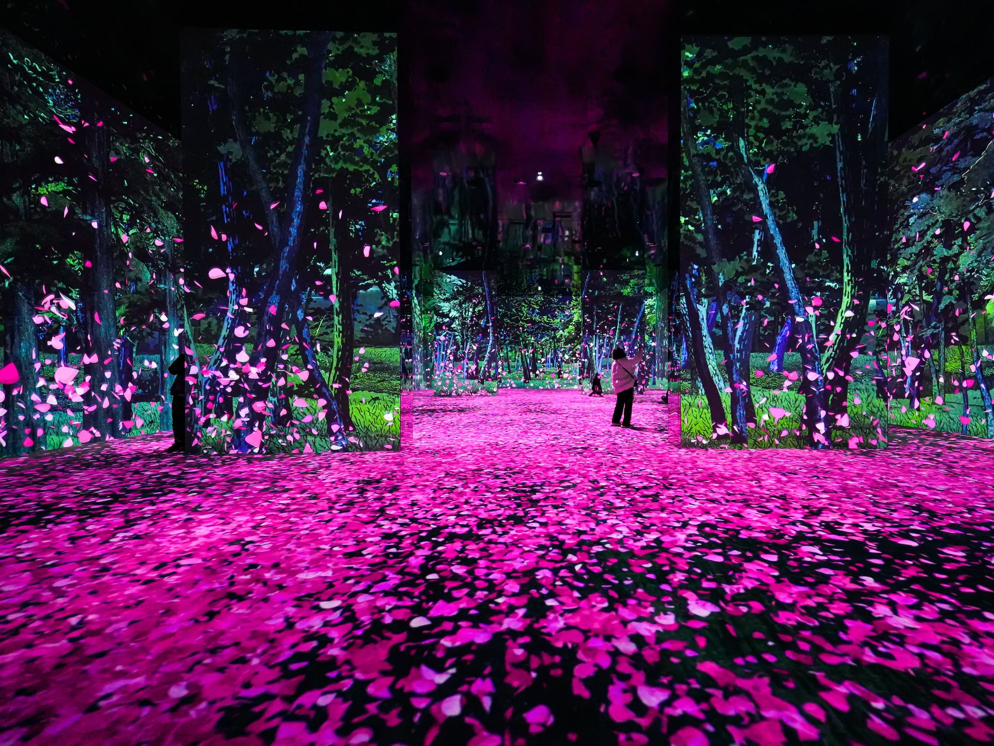 Cherry blossom peteals swirl off of trees and along the ground.