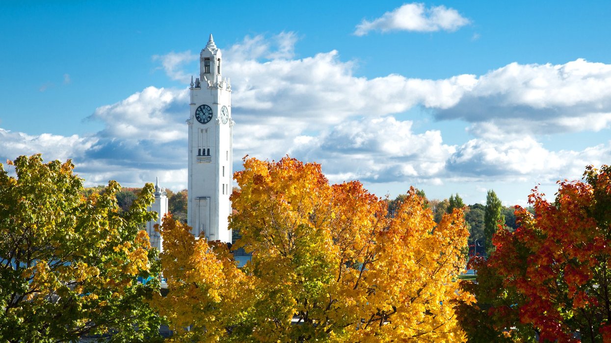 Colorful maple tree with clock tower in Montreal. Clock tower in Old Port of Montreal with a green, yellow and red tree in foreground during autumn season