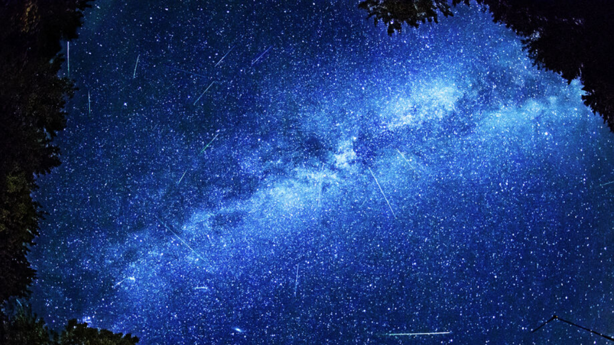 Composite shot of all visible Perseid meteor activity as seen in the skies of Ontario's Muskoka district in August 2013.