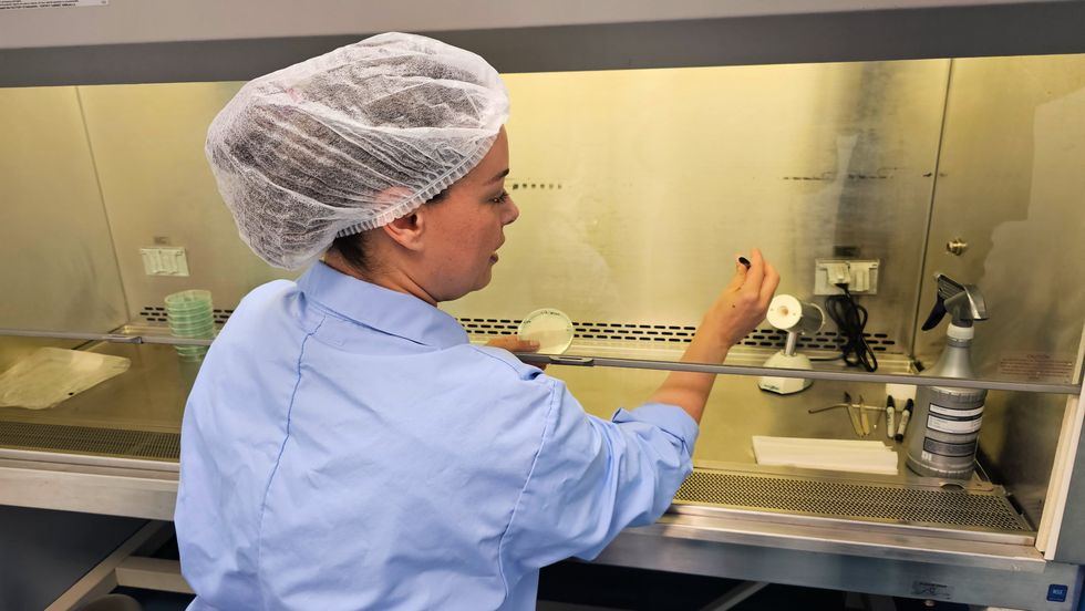 Cubed Mycology Manager Elo\u00efse Grondin-Bouchard demonstrates the tools used to propagate spores behind a fume hood.