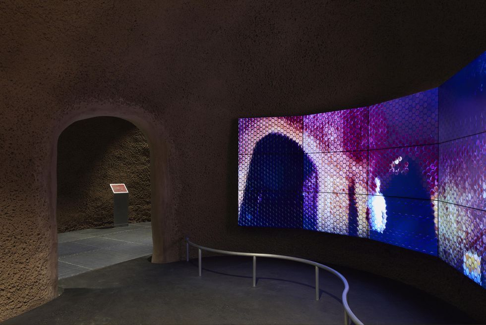 Display in an alcove in the Labyrinth of the Montreal Insectarium.