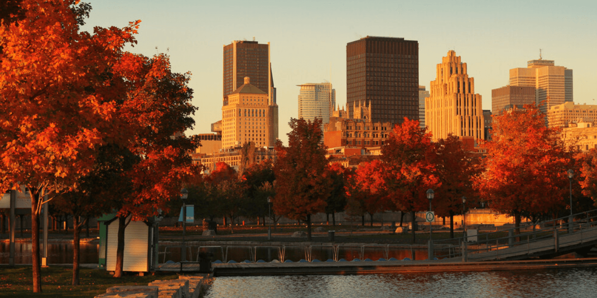 Quebec could get extra long, extra warm fall weather this year — Here’s why Quebec could get extra long, extra warm fall weather this year — Here’s why