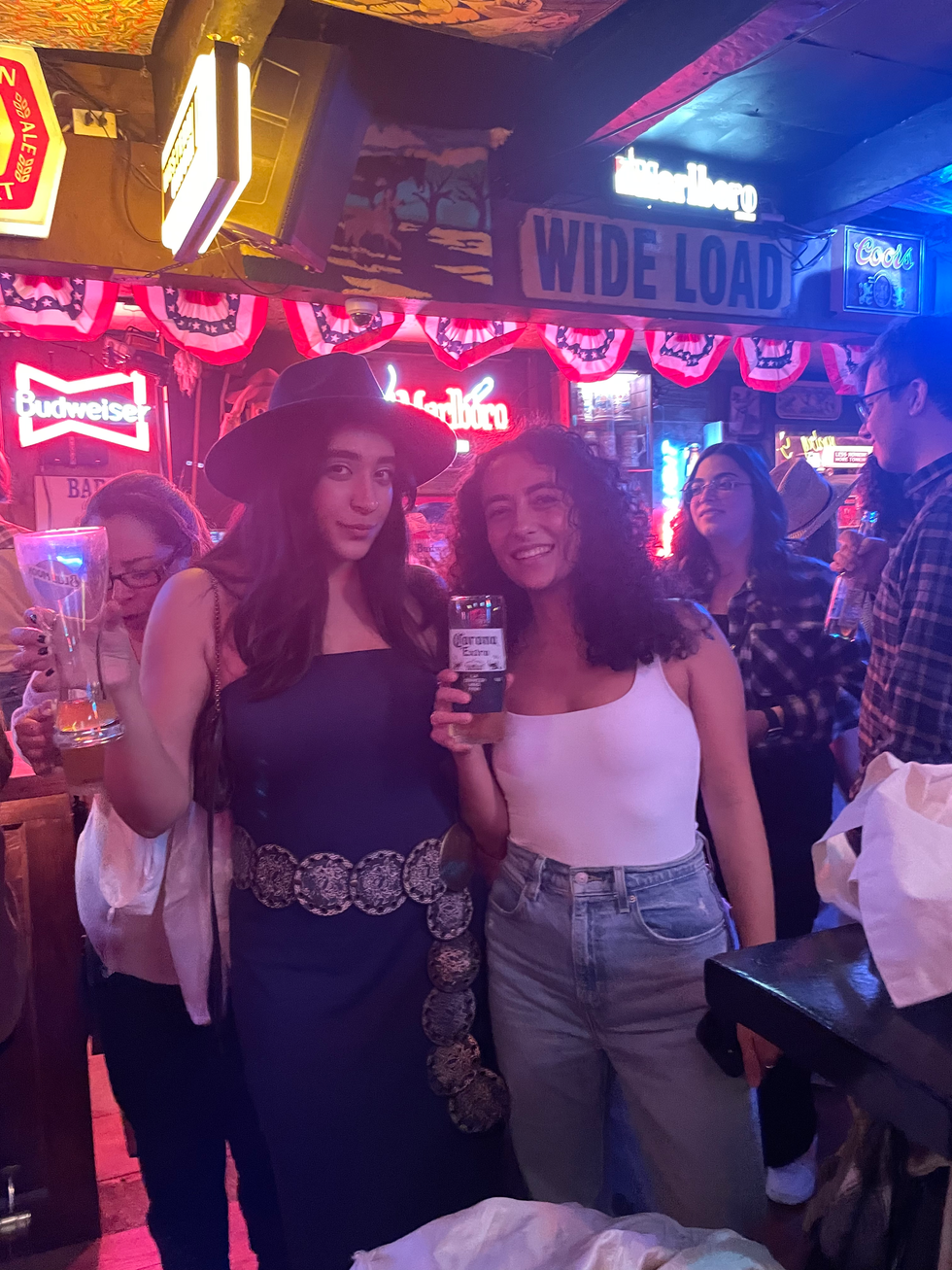 Elmira Mahboobi and Nazly Riazi.