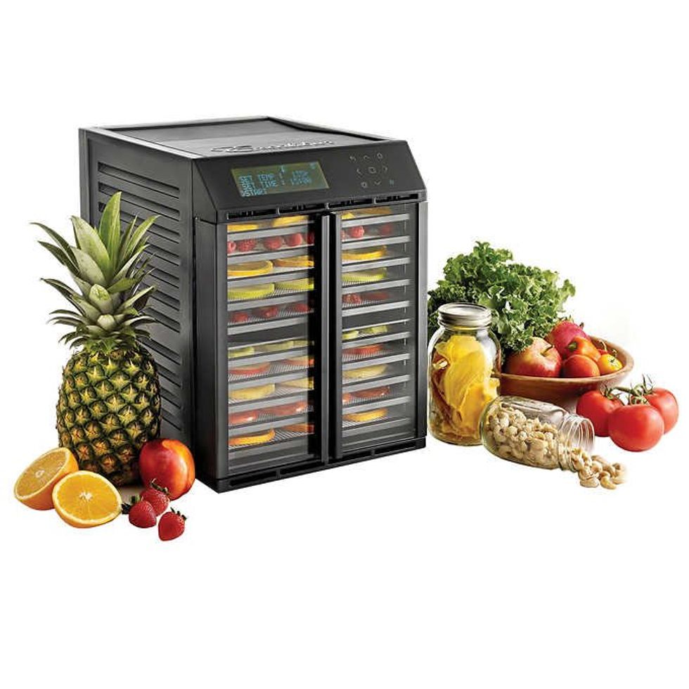 Excalibur 10-tray Dehydrator with Digital Control, Black