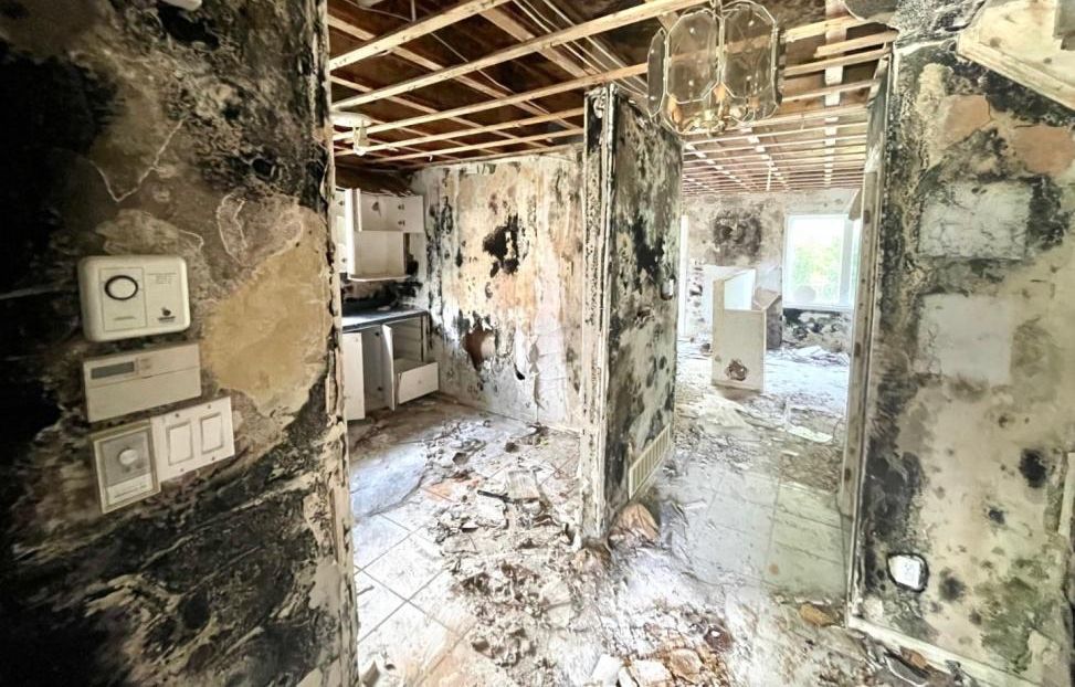 Extraordinary mould levels on the first floor.