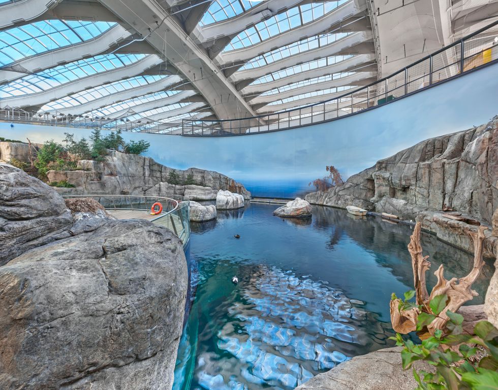 Here's What The Renovated Montreal Biodome Looks Like On The Inside