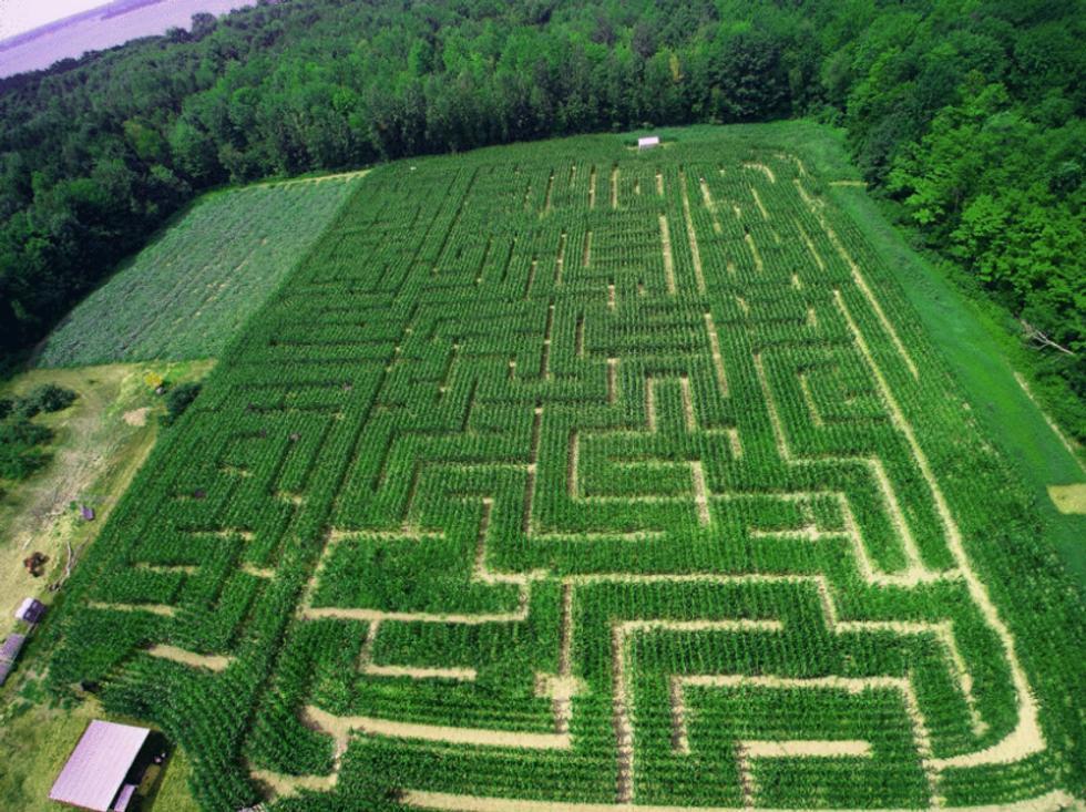 This Huge Corn Labyrinth Right Next To Montreal Opens August 6 MTL Blog