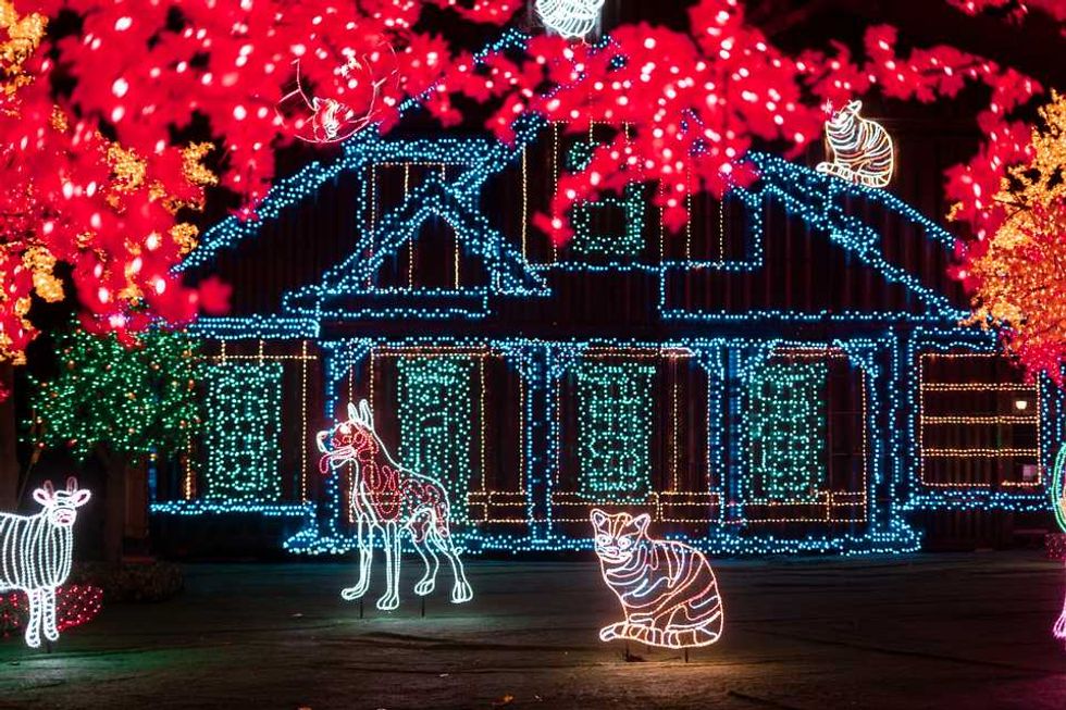 Laval's Illumi Festival Of Lights Is Back This Year With 18 New Magical