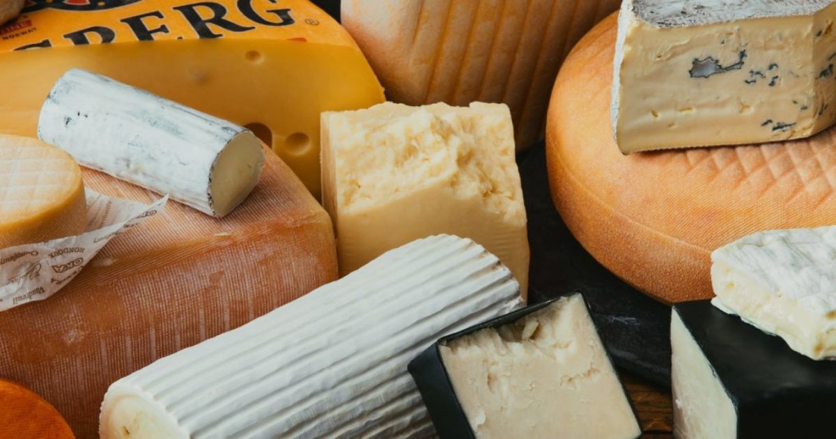 This Quebec Cheese Was Just Named 1 Best In The World MTL Blog