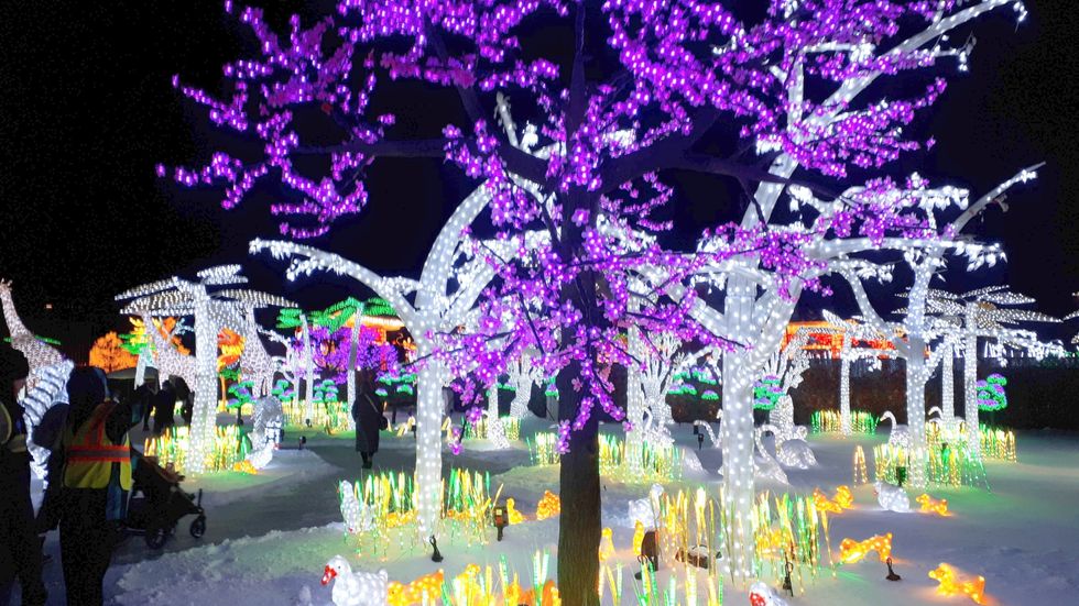 Laval's Illumi Village Of Lights Was Freezing Cold But Totally Worth It