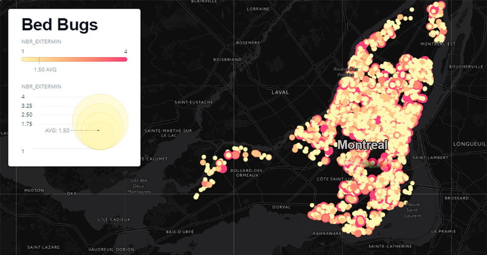 Bed Bugs In Montreal Public Spaces Are Incredibly Common, Exterminators