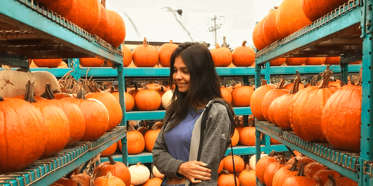 40 Things You Can Do In Montreal This Halloween Mtl Blog