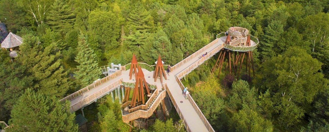 The Insane 'Treetop Trail' Near Montreal You Must Visit ASAP MTL Blog
