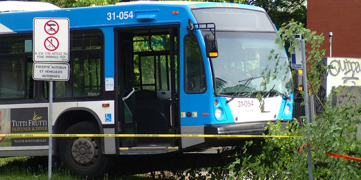 The 10 Most Dangerous Stm Bus Routes In Montreal Mtl Blog