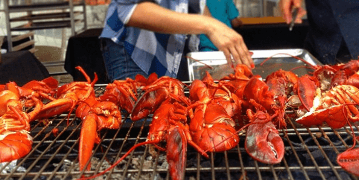 Montreal Is Hosting A Lobster Food Festival In May MTL Blog