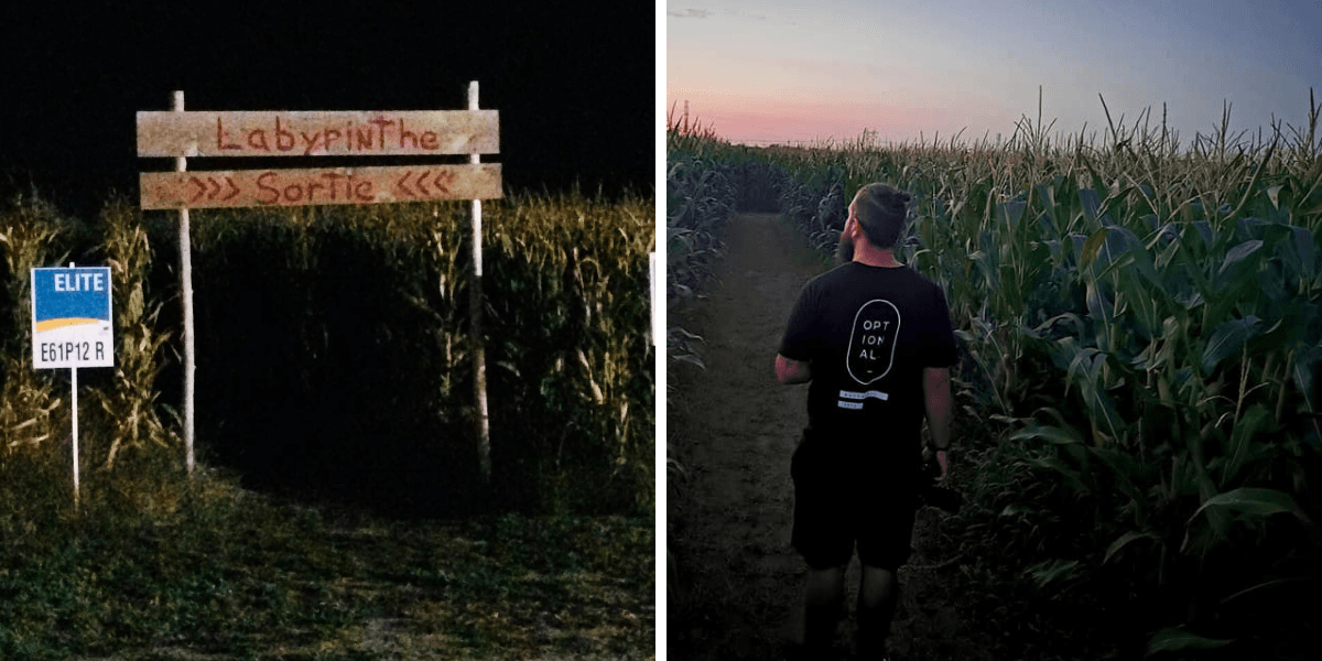 This Terrifying Corn Maze Near Montreal Is Open After Dark & It'll Make You Shudder - Vimarsana News