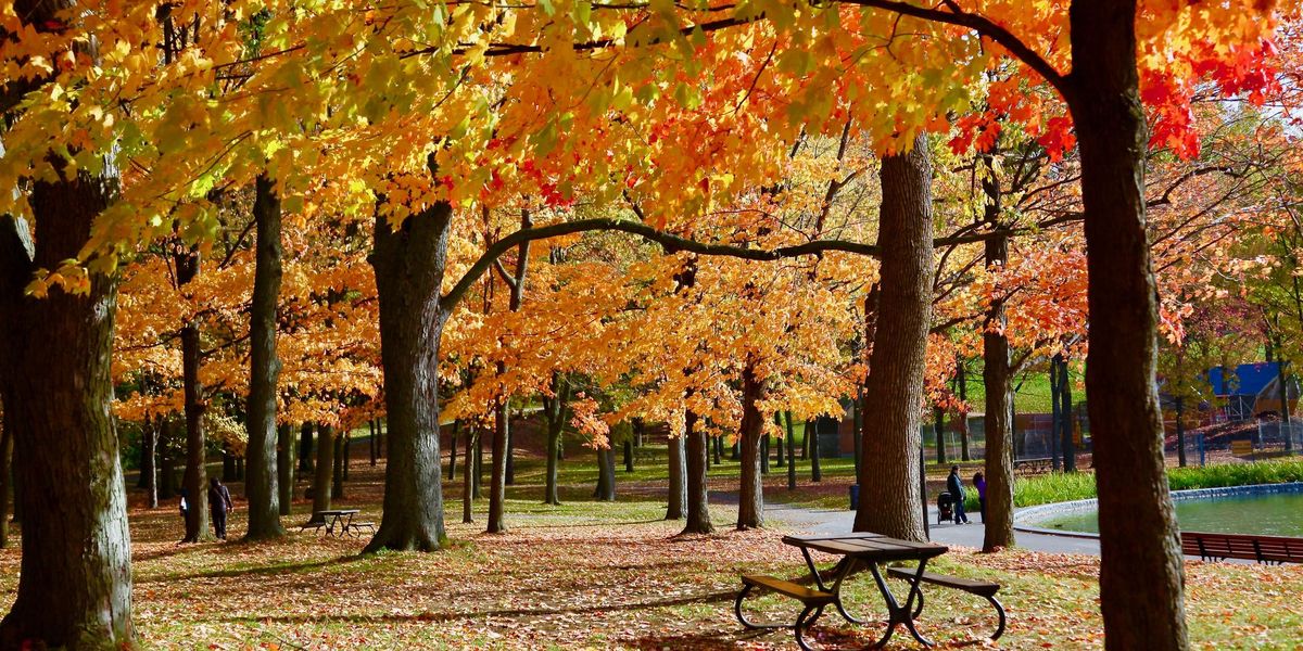 Quebec's New Fall Forecast Says Winter Is Coming Early But There's Also Good News - Vimarsana News