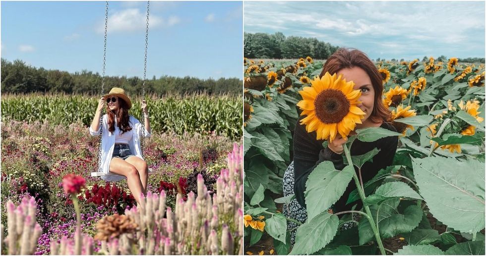 A flower farm near Montreal lets you pick bouquets in fields straight out of a fairytale
