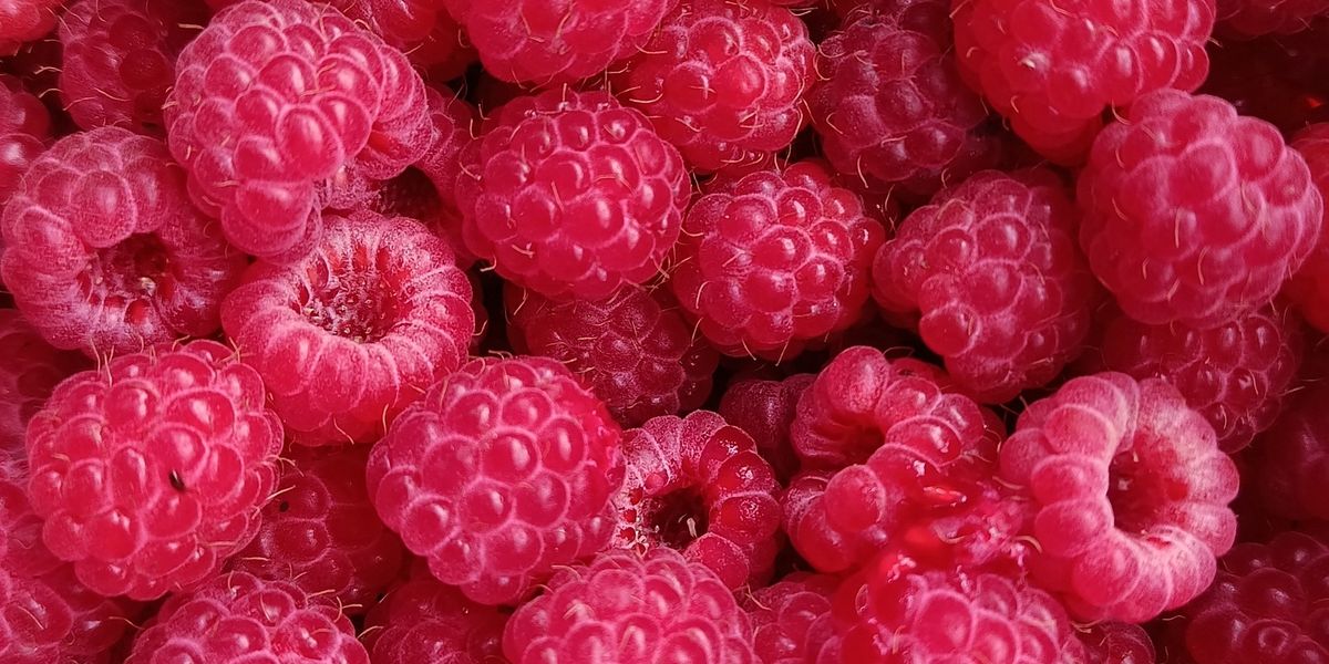 A raspberry recall was just issued in Quebec and eating them could make you seriously ill A raspberry recall was just issued in Quebec and eating them could make you seriously ill