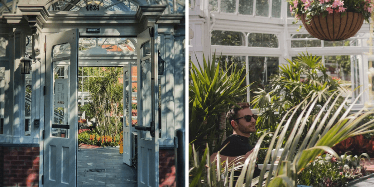The Westmount Conservatory Has Finally Reopened & It Looks Like A Fairytale Greenhouse - Vimarsana News