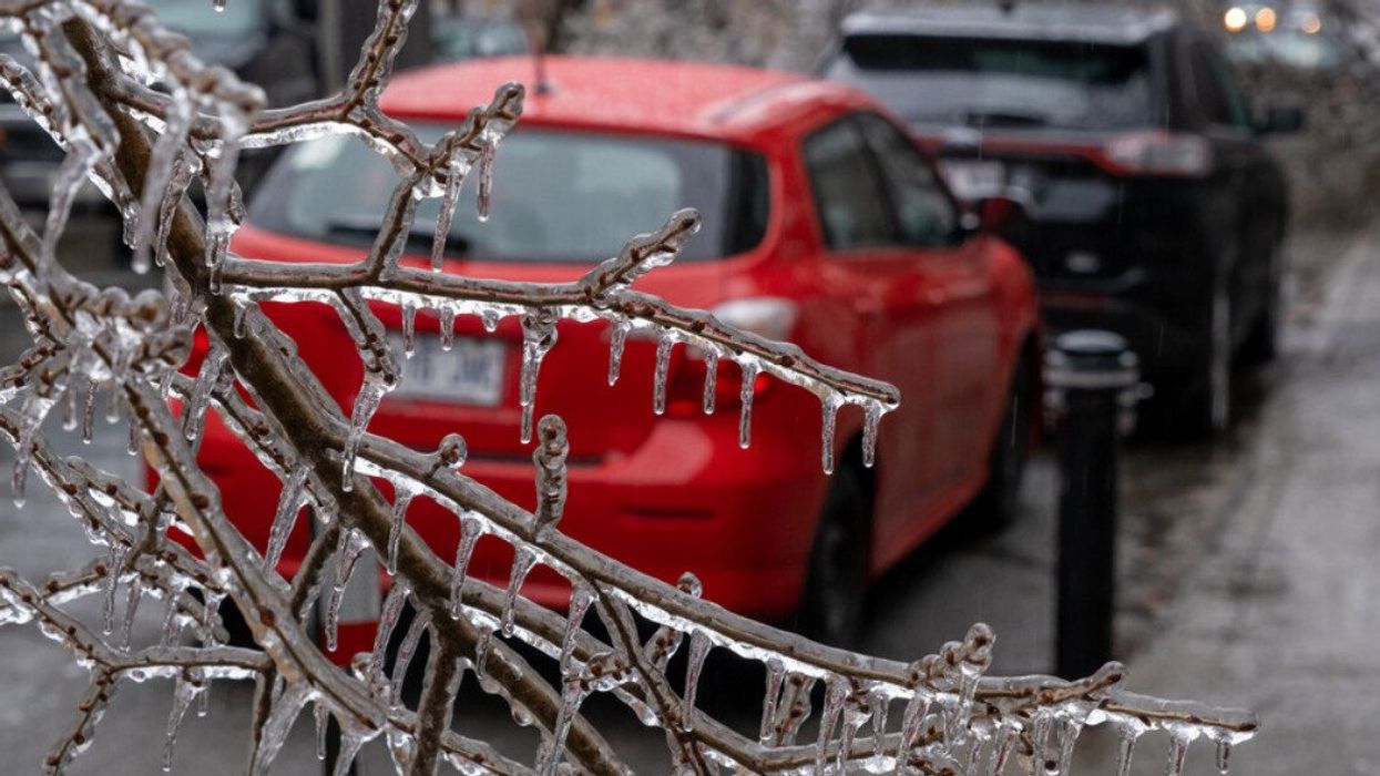 Frozen branches of trees after an ice storm in Montreal