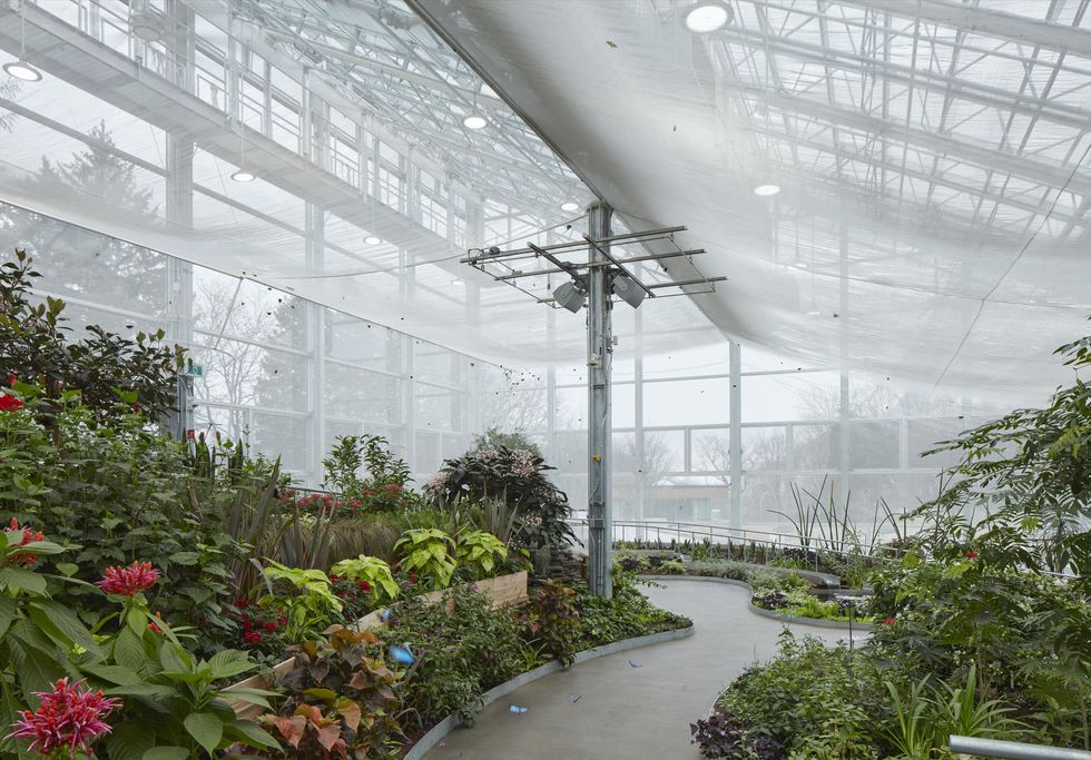 "Grand Vivarium" of the Montreal Insectarium.