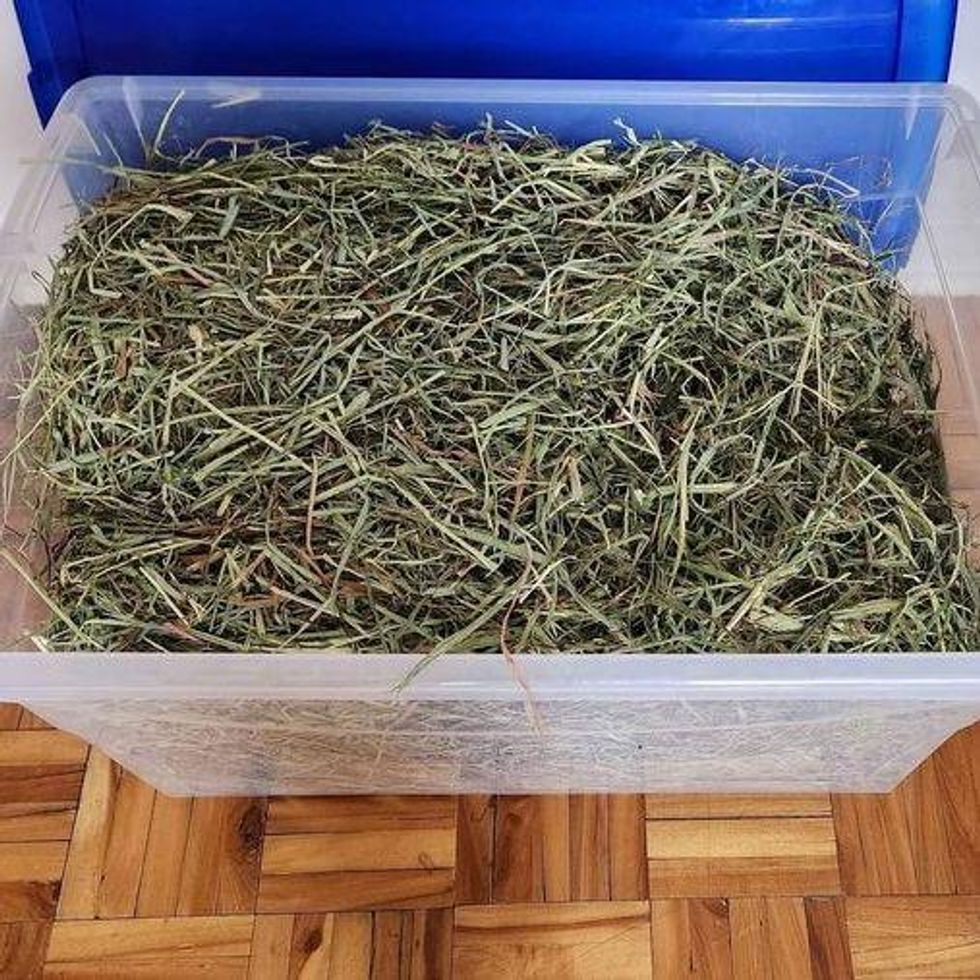 Hay.