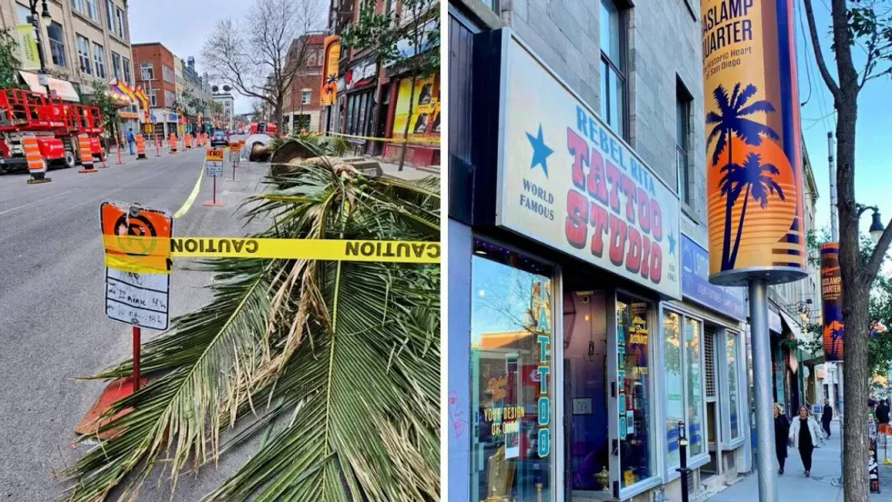 Huge palm trees roped off with caution tape along Sainte-Catherine East. Right: New storefronts and signage from '80s San Diego in the Montreal Village.
