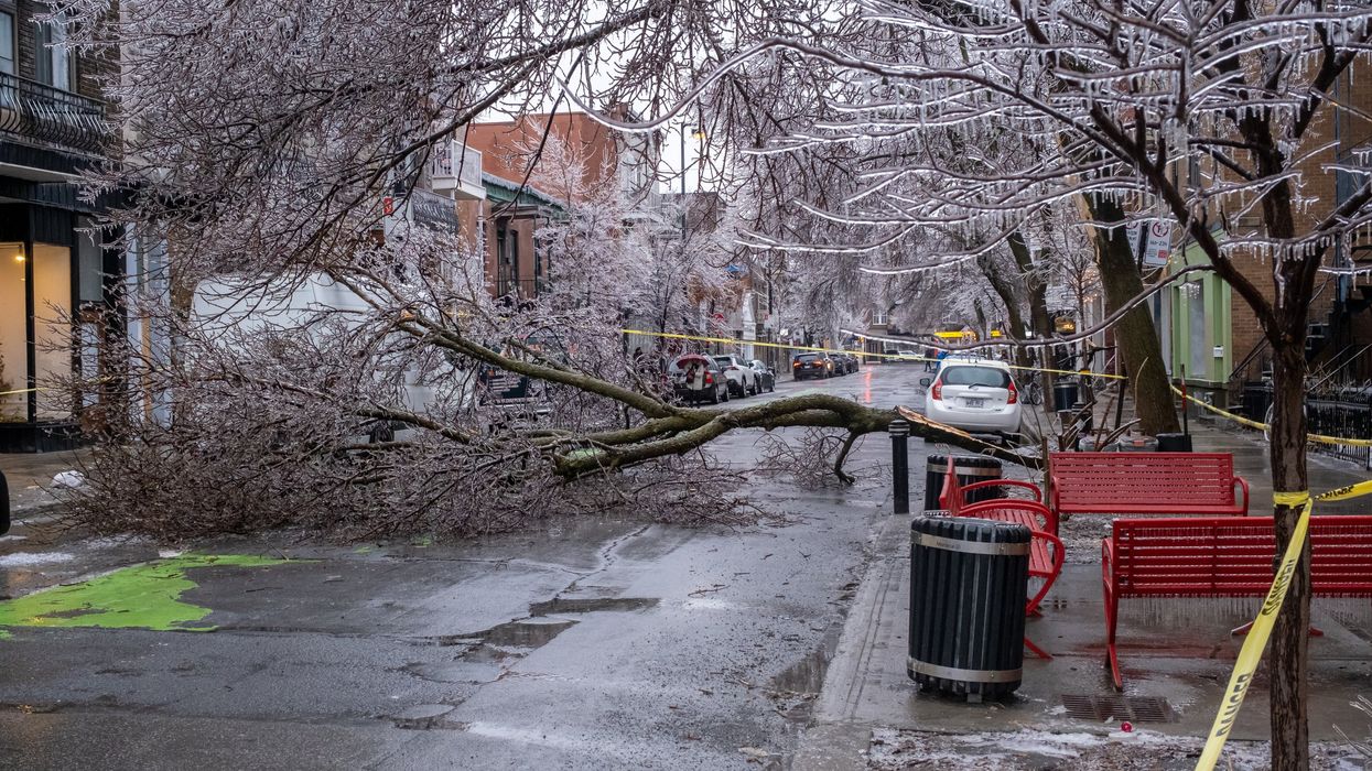 Ice-coated trees fallen across a Montreal street lined with caution tape.