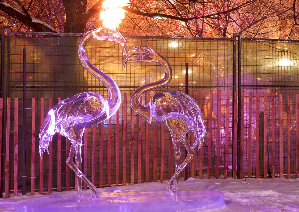 Ice sculpture of two flamingos dancing in the evening during the Winterlude Festival in Ottawa.