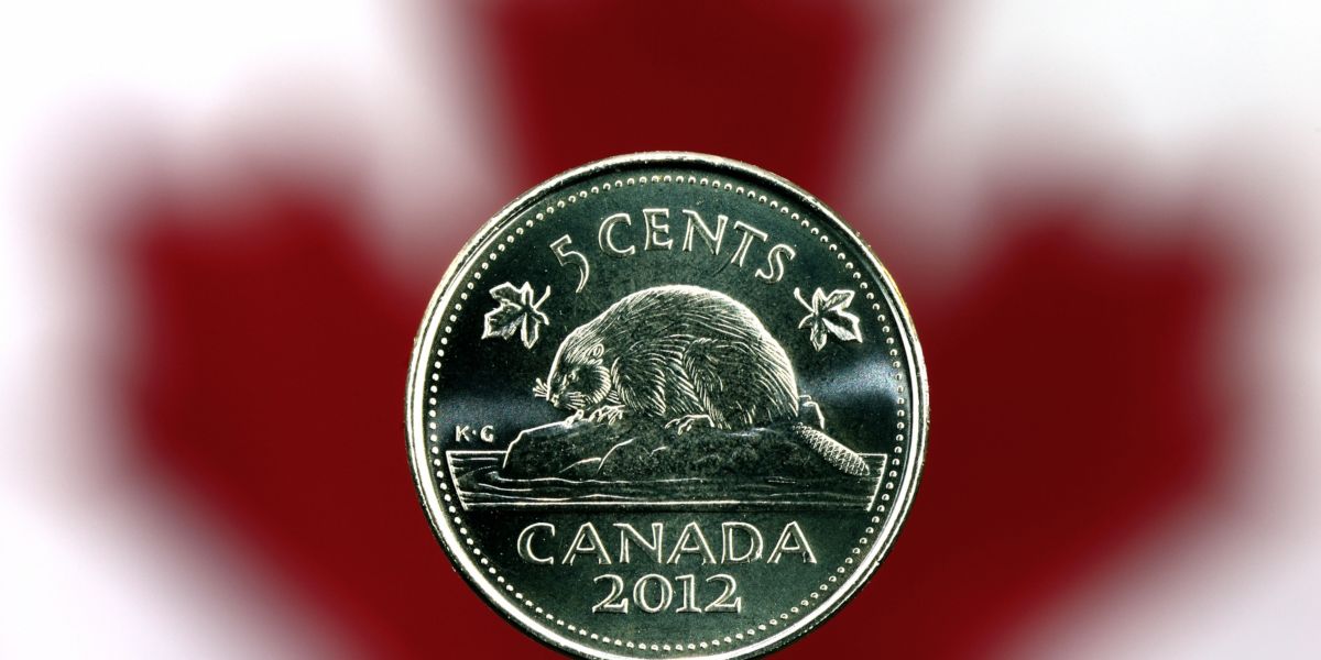 Your Old Canadian Nickels May Now Be Worth 10 000 MTL Blog your-old-canadian-nickels-may-now-be-worth-10-000-mtl-blog