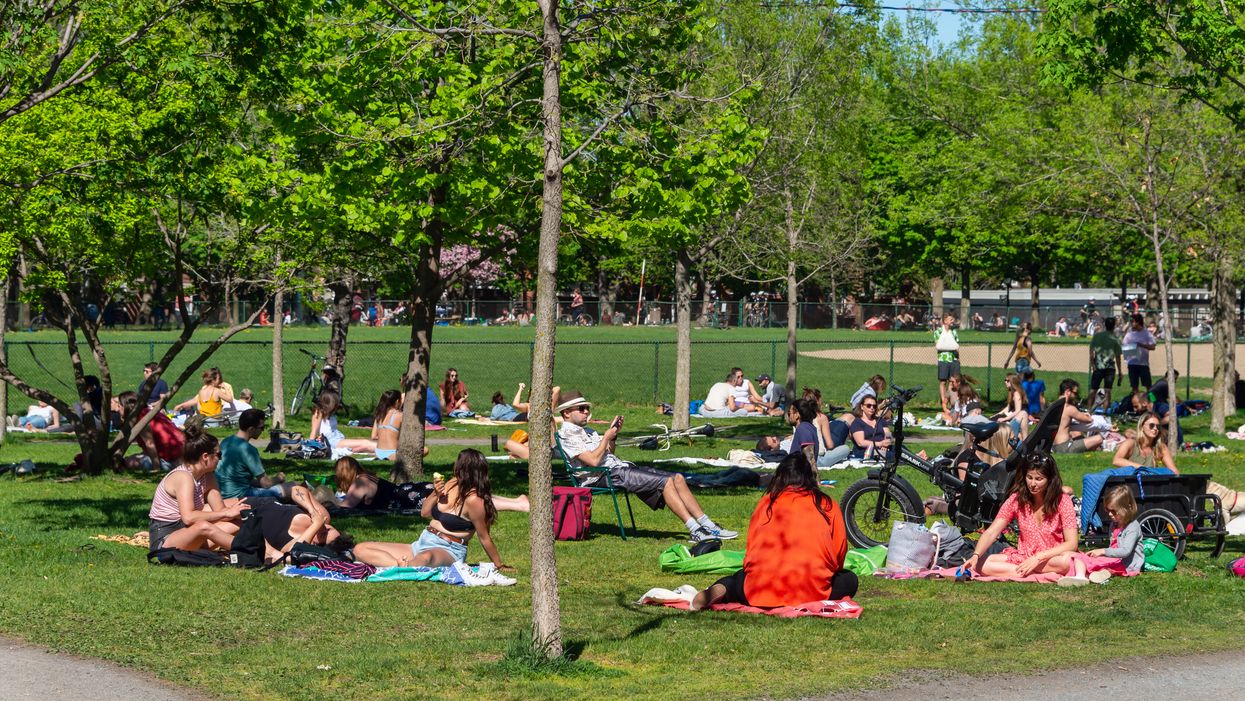 This Report Shows Which Montreal Boroughs Have The Most Park Space Per 1,000 Residents