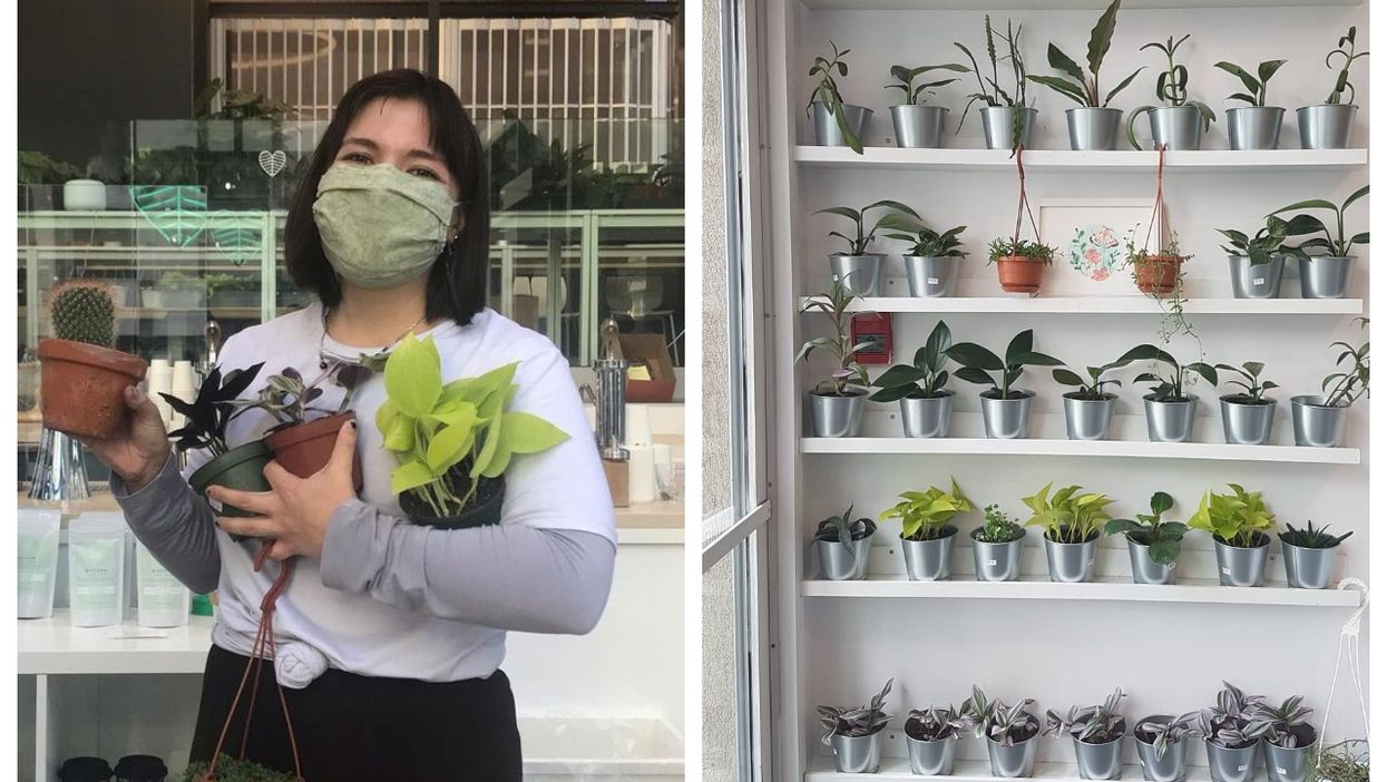 Leaves House Is Having A Huge Buy-2-Get-1-Free Plant Sale In MTL So You Can 'Stalk' Up