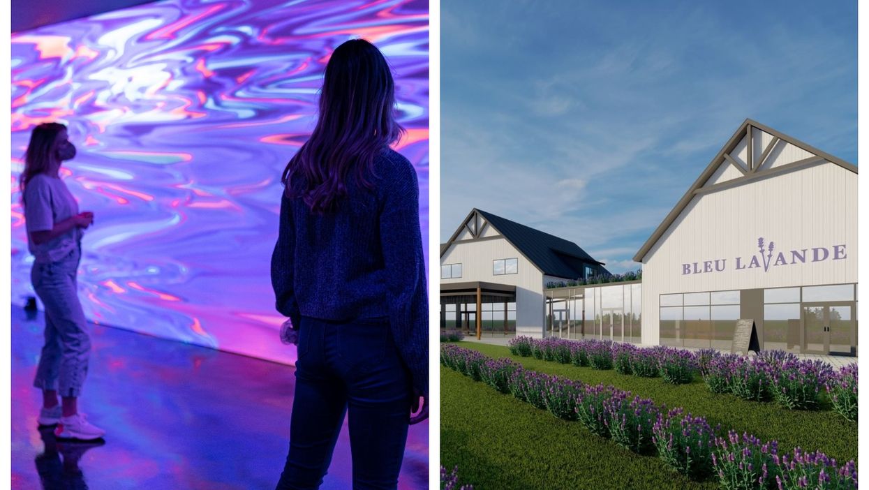 Here's A First Look At Bleu Lavande's New Location & Immersive Experience (PHOTOS)