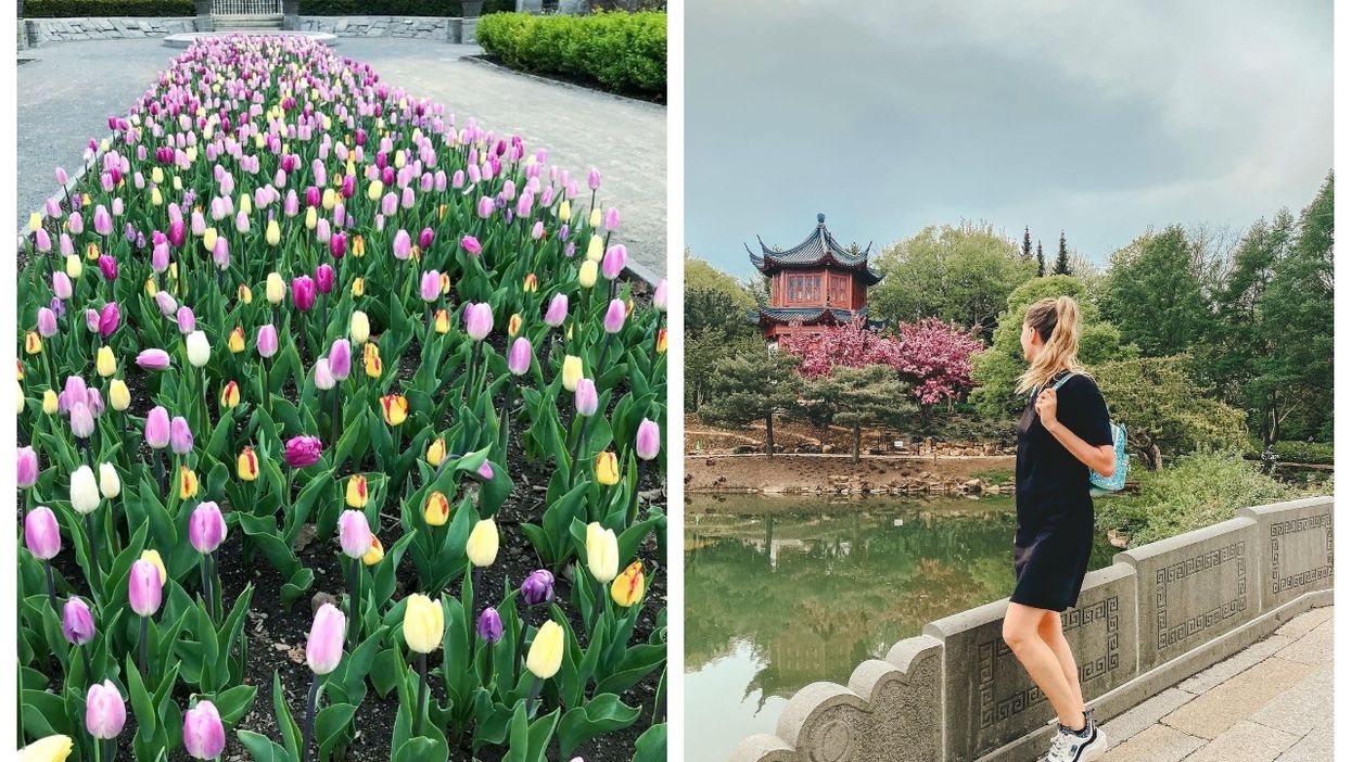 The Flowers You Can See At The Botanical Garden Right Now Are A Little Dose Of Heaven