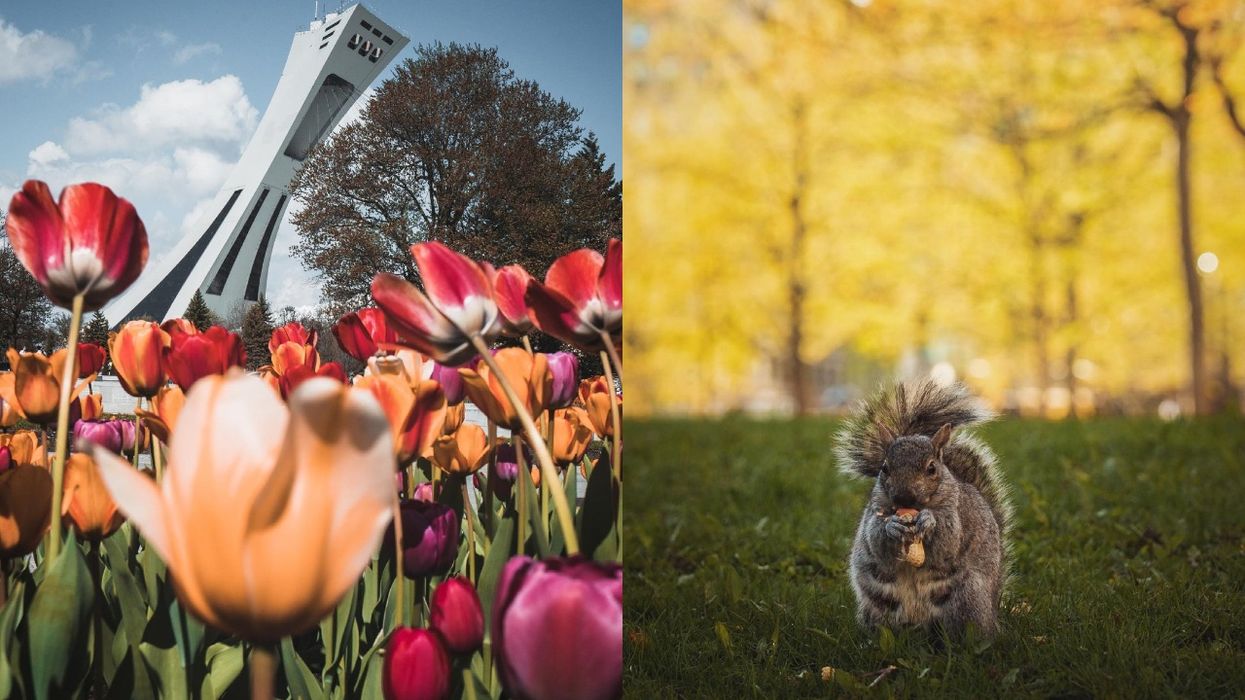 Summer Weather Is Expected To Hit Montreal Again REAL Soon