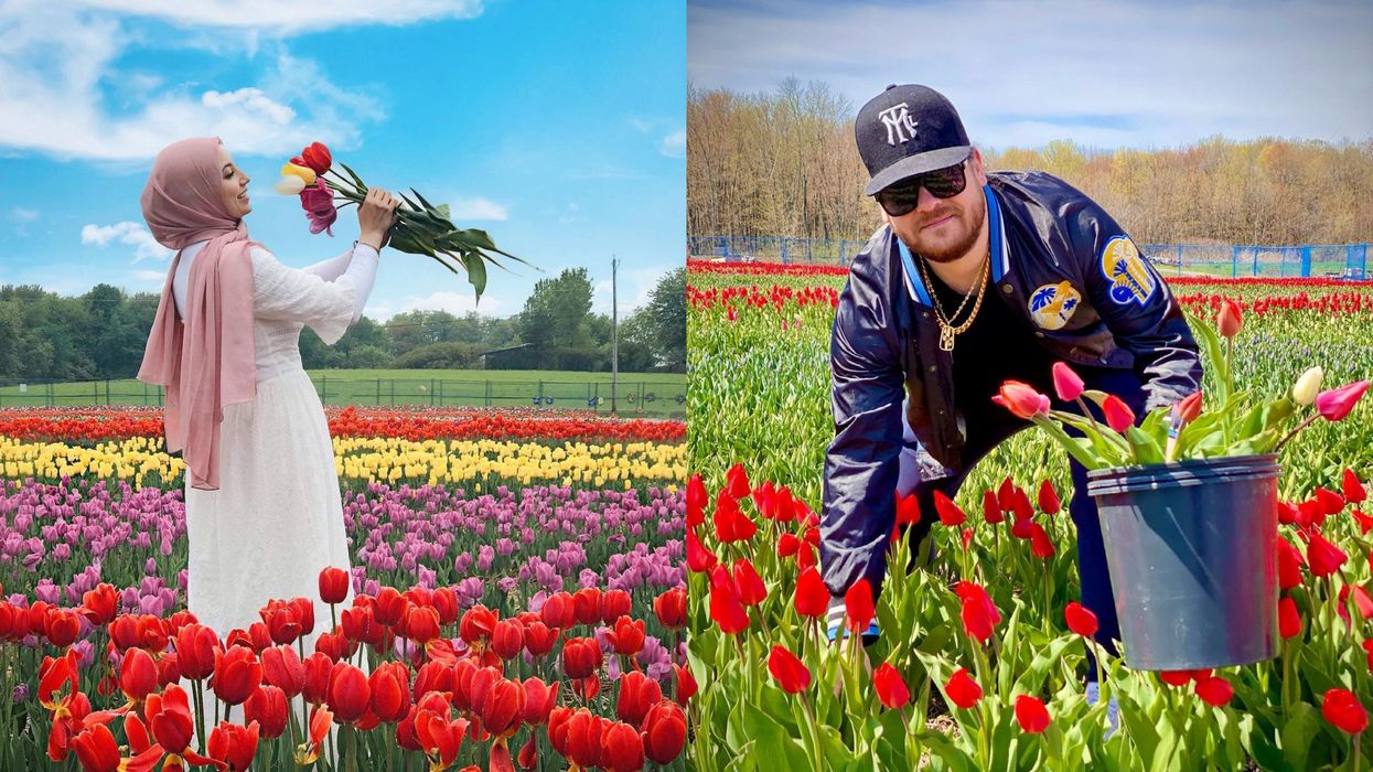 2 Tulip Fields Where You Can Pick Your Own Flowers Near Montreal Reopened On Saturday