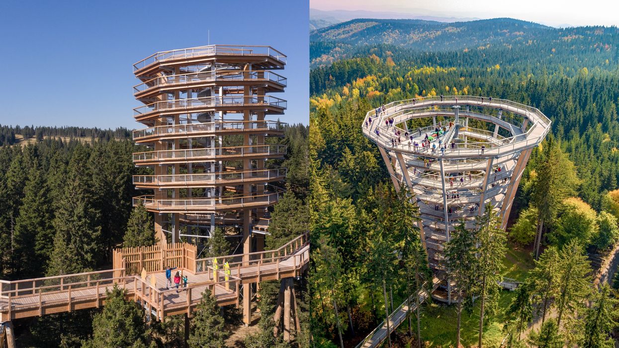 A Huge Tower Is Being Built In The Laurentians & You'll Be Able To Walk Among Treetops