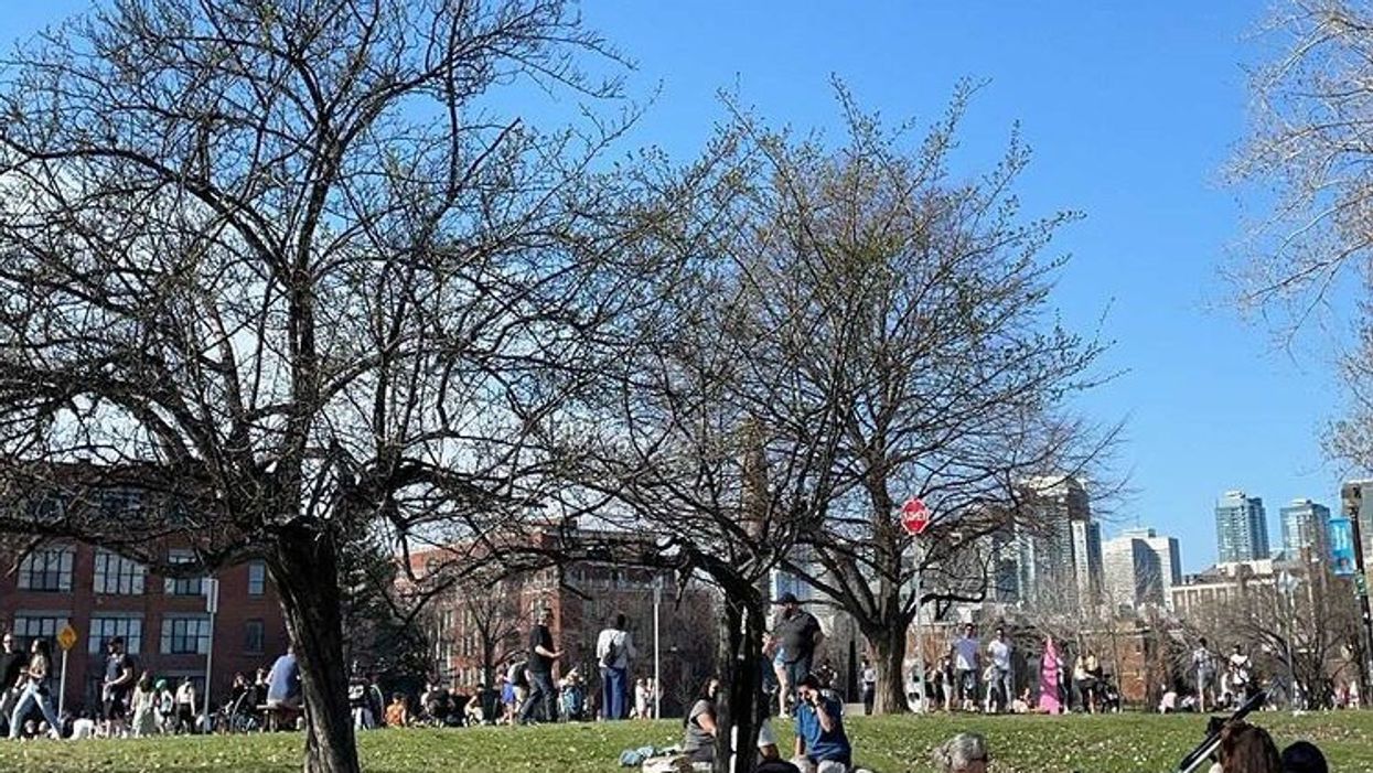Montrealers Are Flocking Back To Parks To Enjoy The Weekend & It Feels So Right (PHOTOS)
