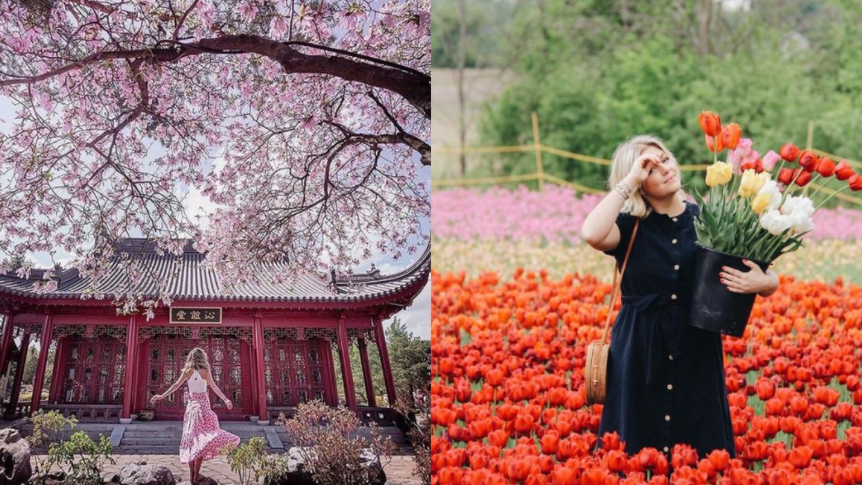 6 Things To Do In Montreal That You Have To Add To Your Spring Bucket List