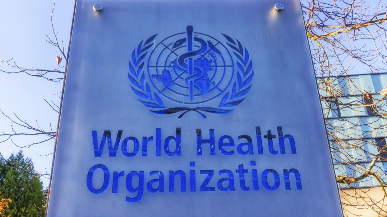 A McGill Prof Was Part Of The 'Largest Study Ever Conducted' On Violence Against Women