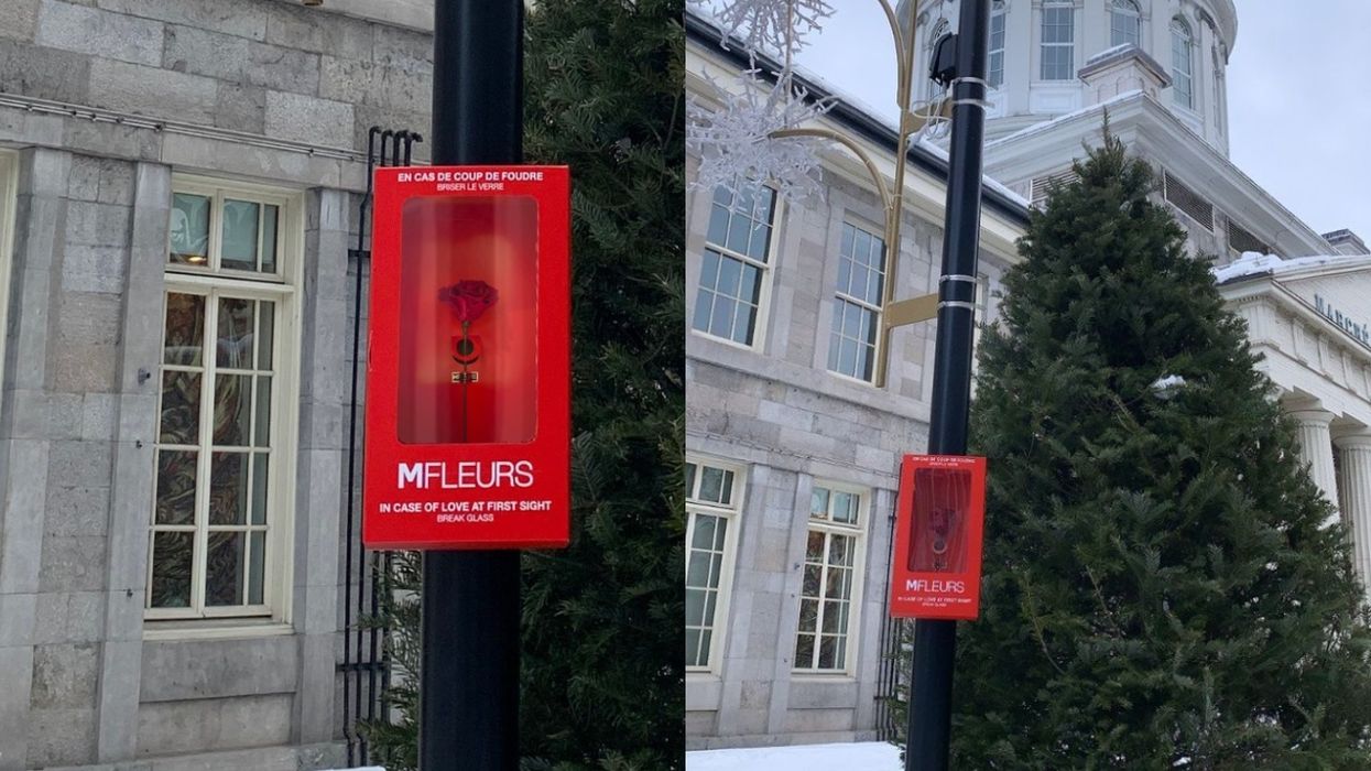 MFLEURS Hid 500 Free Roses Around The City For You To Find & Declare Your Love (VIDEO)